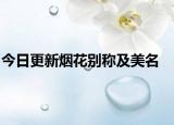 今日更新煙花別稱及美名