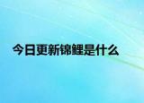 今日更新錦鯉是什么