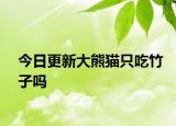 今日更新大熊貓只吃竹子嗎