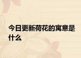 今日更新荷花的寓意是什么