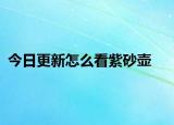今日更新怎么看紫砂壺