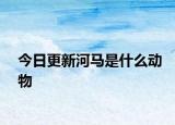 今日更新河馬是什么動物