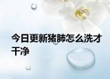 今日更新豬肺怎么洗才干凈
