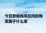 今日更新梅菜扣肉的梅菜屬于什么菜