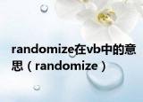 randomize在vb中的意思（randomize）