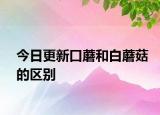 今日更新口蘑和白蘑菇的區(qū)別