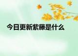 今日更新紫藤是什么
