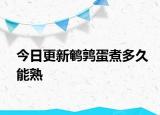今日更新鵪鶉蛋煮多久能熟