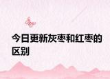 今日更新灰棗和紅棗的區(qū)別