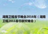 湖南衛(wèi)視春節(jié)晚會2016年（湖南衛(wèi)視2011春節(jié)聯(lián)歡晚會）
