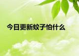 今日更新蚊子怕什么