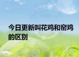 今日更新叫花雞和窯雞的區(qū)別