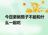 今日更新茄子不能和什么一起吃