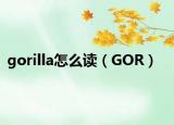 gorilla怎么讀（GOR）