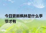 今日更新楓林是什么季節(jié)才有