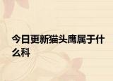 今日更新貓頭鷹屬于什么科