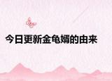 今日更新金龜婿的由來