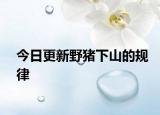 今日更新野豬下山的規(guī)律