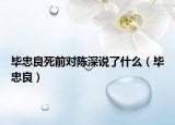 畢忠良死前對陳深說了什么（畢忠良）