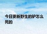 今日更新野生的驢怎么死的