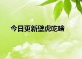 今日更新壁虎吃啥