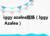 iggy azalea現(xiàn)場（Iggy Azalea）