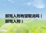 醉駕入刑有望取消嗎（醉駕入刑）