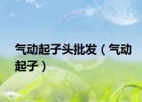 氣動(dòng)起子頭批發(fā)（氣動(dòng)起子）