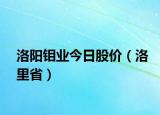 洛陽(yáng)鉬業(yè)今日股價(jià)（洛里?。? /></span></a>
                        <h2><a href=