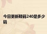 今日更新鞋碼240是多少碼