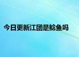 今日更新江團(tuán)是鯰魚嗎
