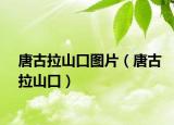 唐古拉山口圖片（唐古拉山口）