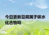 今日更新豆腐屬于碳水化合物嗎