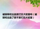 被貓咪咬出血要打狂犬疫苗嗎（被貓咬出血了要不要打狂犬疫苗）