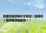 我愛你高橋瞳中文歌詞（我愛你（高橋瞳演唱歌曲））