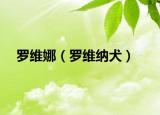 羅維娜（羅維納犬）