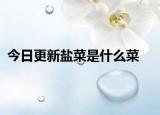今日更新鹽菜是什么菜