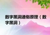 數(shù)字黑洞通俗原理（數(shù)字黑洞）