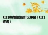 肛門(mén)疼痛出血是什么原因（肛門(mén)疼痛）