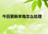 今日更新羊角怎么處理