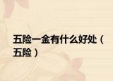 五險(xiǎn)一金有什么好處（五險(xiǎn)）