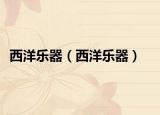 西洋樂器（西洋樂器）