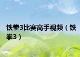 鐵拳3比賽高手視頻（鐵拳3）