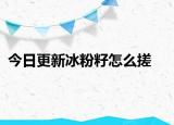 今日更新冰粉籽怎么搓