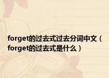 forget的過去式過去分詞中文（forget的過去式是什么）