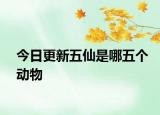 今日更新五仙是哪五個動物