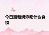 今日更新螞蚱吃什么食物
