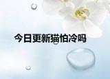 今日更新貓怕冷嗎