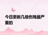 今日更新幾級傷殘最嚴重的