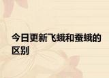 今日更新飛蛾和蠶蛾的區(qū)別